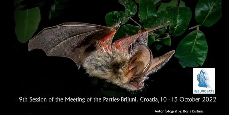 Slika /slike/Vijesti/2022/A MoP_Boris_Krstinić.jpg